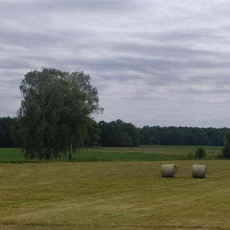 Ubytovani U Sobotku Třeboň Exteriér fotografie