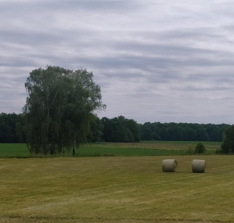 Ubytovani U Sobotku Třeboň Exteriér fotografie