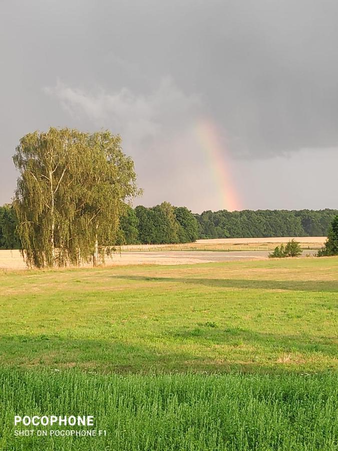 Ubytovani U Sobotku Třeboň Exteriér fotografie